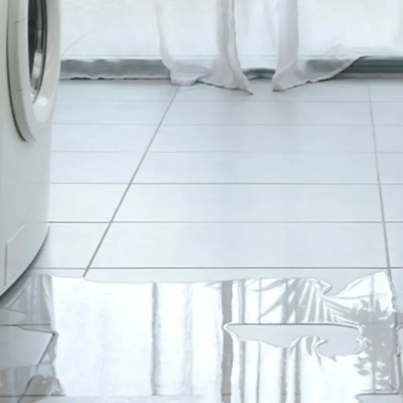 Appliance Leak Cleanup in Bruceville-Eddy, TX