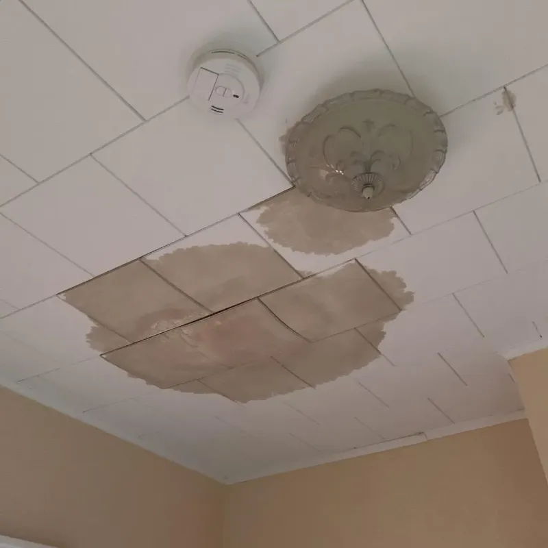 Ceiling Water Damage Repair in Bruceville-Eddy, TX